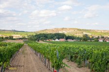 10.08.2024 Ausflug nach Retz - Hardegg - Obernalb